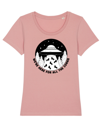 Corgi Lover UFO Alien Abduction Canyon Pink