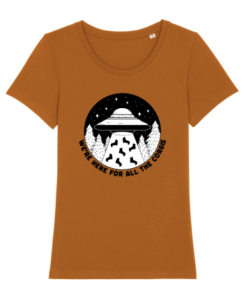 Corgi Lover UFO Alien Abduction Roasted Orange