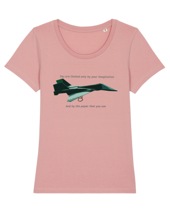 Origami Plane Canyon Pink