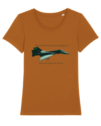 Origami Plane Roasted Orange