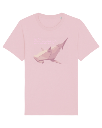 Origami hammerhead Cotton Pink
