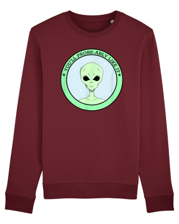 Funny Alien Abduction Probe Ably Burgundy