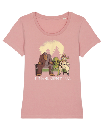 Humans Aren't Real Canyon Pink