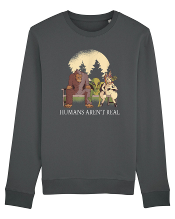 Humans Aren't Real Anthracite