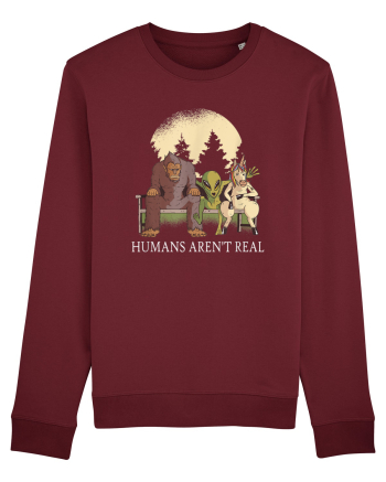 Humans Aren't Real Burgundy