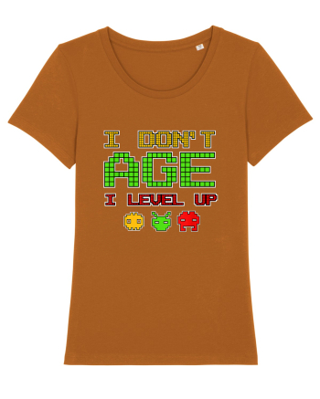 I Don't Age I Level Up Old Gamer Roasted Orange