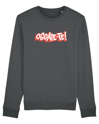 Ogoaie-te II Anthracite