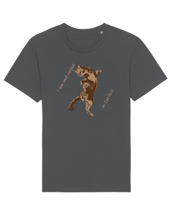 Cat Fu Fighting Anthracite