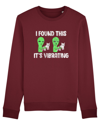 I Found This It's Vibrating Funny Cat Alien Burgundy