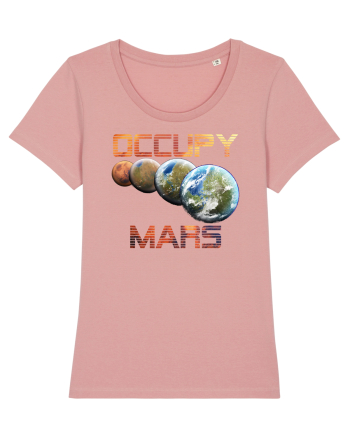 Occupy Mars Terraform Space Astronomy Canyon Pink
