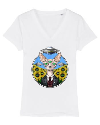 Psychedelic Hairless Sphynx Cat White
