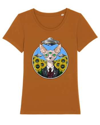 Psychedelic Hairless Sphynx Cat Roasted Orange