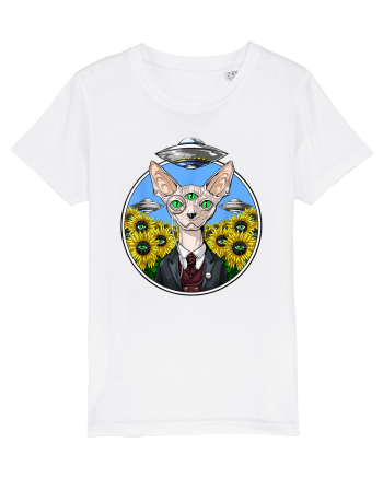 Psychedelic Hairless Sphynx Cat White