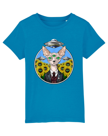 Psychedelic Hairless Sphynx Cat Azur