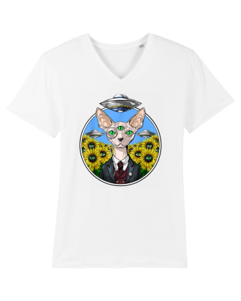 Psychedelic Hairless Sphynx Cat White