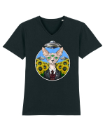 Psychedelic Hairless Sphynx Cat Tricou mânecă scurtă guler V Bărbat Presenter