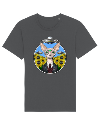 Psychedelic Hairless Sphynx Cat Anthracite