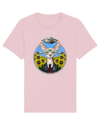 Psychedelic Hairless Sphynx Cat Cotton Pink