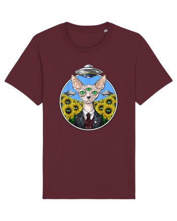 Psychedelic Hairless Sphynx Cat Burgundy