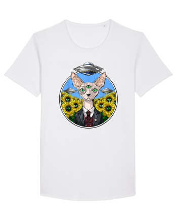 Psychedelic Hairless Sphynx Cat White
