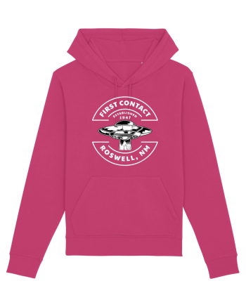 Roswell UFO Alien Conspiracy Theory Raspberry