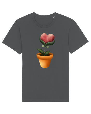 Flower of Heart Anthracite