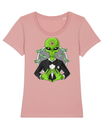 Space Alien Illuminati Occult UFO Conspiracy Canyon Pink