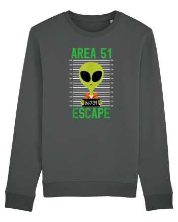 Area 51 Escapee Anthracite
