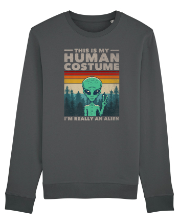 This Is My Human Costume I'm Really An Alien Anthracite