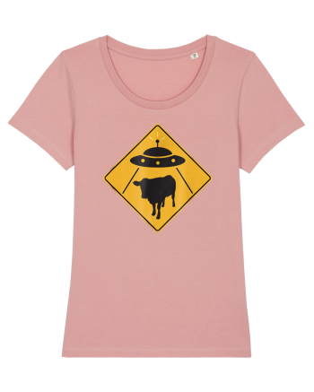 UFO Cow Abduction Warning Sign Canyon Pink