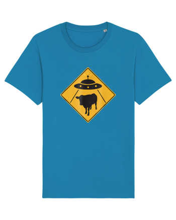 UFO Cow Abduction Warning Sign Azur