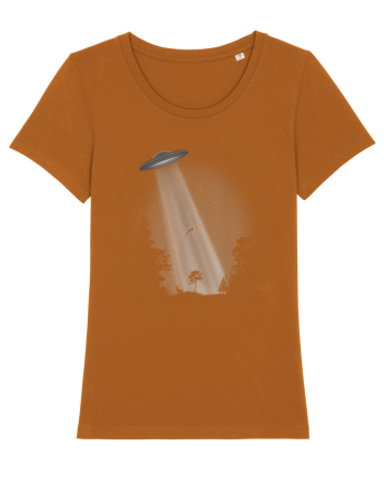 UFO Space Alien Abduction Flying Saucer Roasted Orange