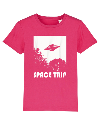 UFO Space Trip Raspberry