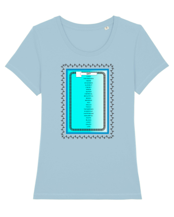Words can fly! Airplane Sky Blue