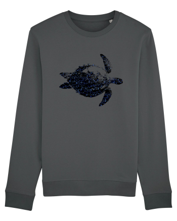 Electric turtle Anthracite