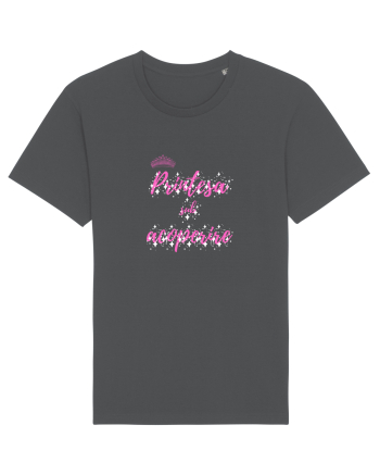 Printesa Sub Acoperire. Anthracite