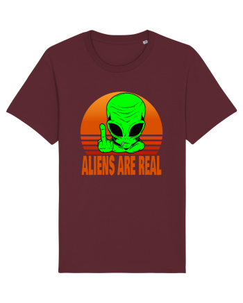 Aliens Are Real Burgundy