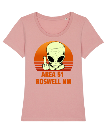 Area 51 Roswell NM Canyon Pink