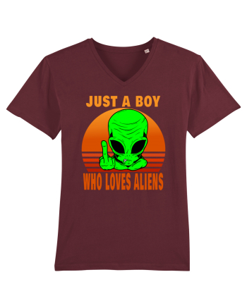 Just A Boy Who Loves Aliens Burgundy