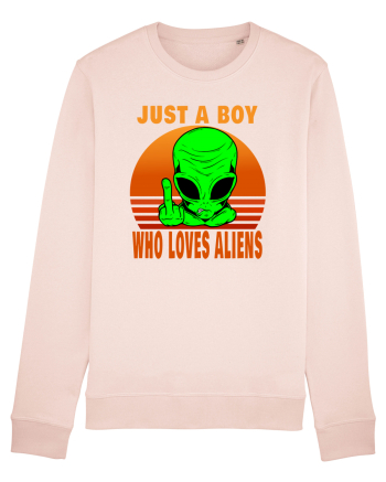 Just A Boy Who Loves Aliens Candy Pink