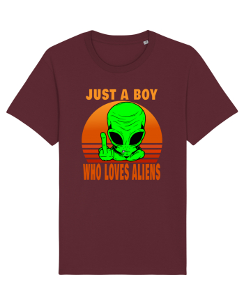 Just A Boy Who Loves Aliens Burgundy