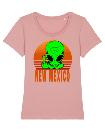 New Mexico Area 51 Alien Canyon Pink