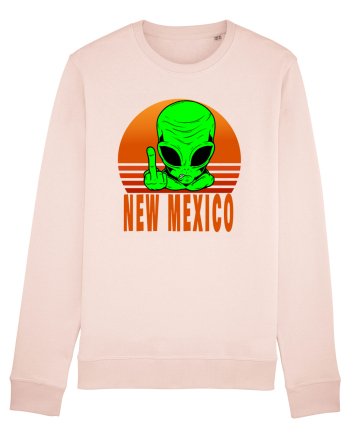 New Mexico Area 51 Alien Candy Pink