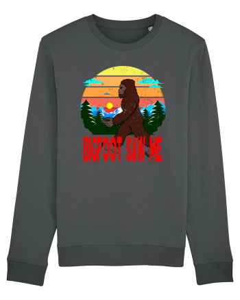 Bigfoot Saw Me Anthracite