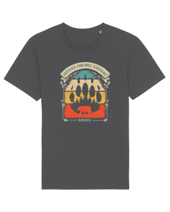 Vizitează Parcurile Naționale din România Tricou mânecă scurtă Unisex Rocker