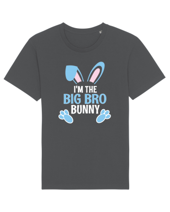 Eu sunt fratele mai mare iepurele de Paste. I'm the Big Bro Bunny Anthracite