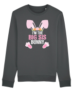 Sora mai mare tricou de Paste. I'm the Big Sis Bunny Bluză mânecă lungă Unisex Rise
