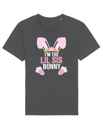 Sora mai mica cadou de Paste. I'm the Lil Sis Bunny Anthracite