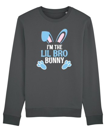 Cadou pentru fratele mai mic de Paste. I'm the Lil Bro Bunny Anthracite