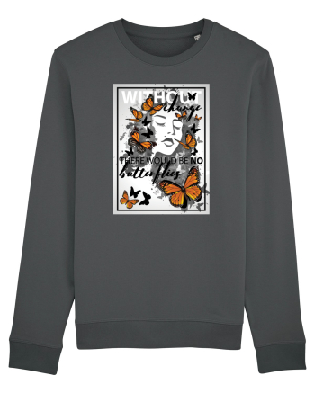 No Butterflies Anthracite